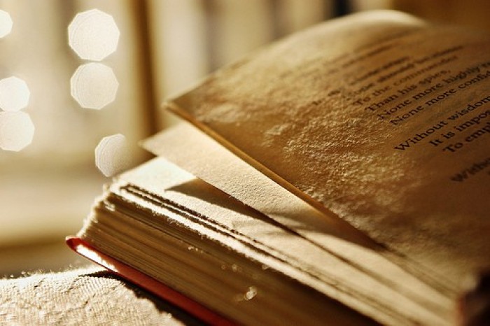 參考文獻中的M J N分別代表什么 參考文獻格式舉例